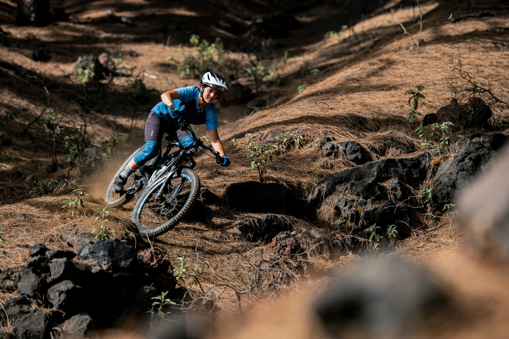 Rennräder Verkaufsladen 17 Rennräder Verkaufsladen -Rennräder Verkaufsladen 117131817 3417492928281716 6560356477068097883 n