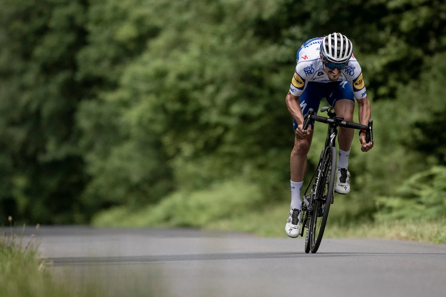 Rennräder Verkaufsladen 18 Rennräder Verkaufsladen -Rennräder Verkaufsladen 118799469 3516655405032134 5527523676542742936 n